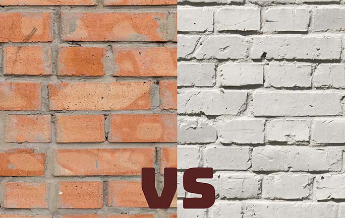 Red brick vs Fly ash brick